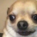 GB_DogeShocked Discord emoji