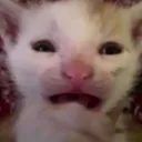 Awh_void