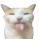 bleeeh