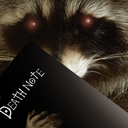 raccoon_deathnote Discord emoji