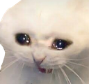 GB_sedlyf Discord emoji