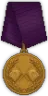 RecruitmentMedal