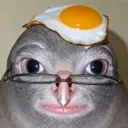 EggSOTM EggSOTM