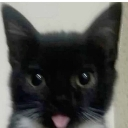 emoji_4 custom emote | KJ Tavern