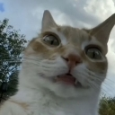 emoji_5 Discord sticker from KJ Tavern