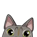 peek_Fran