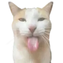Bleh