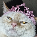 :FaePrincess: