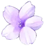 purpleflower