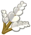 wheatflower