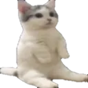 CatSit CatSit