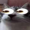 eyes