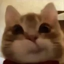 hehhhhh