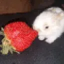 strawber