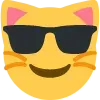 kit_glowa_kota_okulary