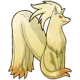 _nn