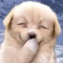 ehe