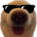 :dognau7:
