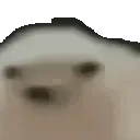 oda