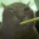 buhblunt