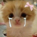 KittyCry