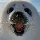 sealsmile