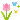 0241_flowers