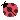 0031_ladybug