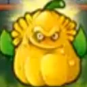 Son
