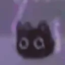 c_cat_rave