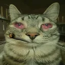 moodweedsmokeweedeverydayilovewe