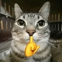Shh