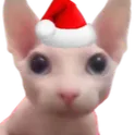 bingo_christmas