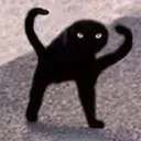 angerycat