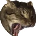 jackyell