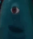 Bob