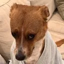 beawhenjackbulliesher