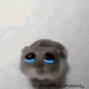 cry