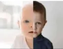 Fetus