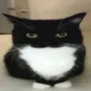 car Discord emoji