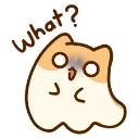 what2