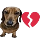 <:swag:1448639526837944381>