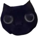 <:kittuh:1448639566364934186>