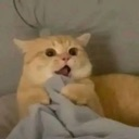 emoji_76 custom emote | NV