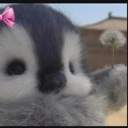 emoji_77 Discord sticker from NV