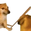 Bonk