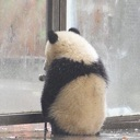 emoji_78 Discord Emoji - NV