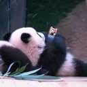 emoji_79 custom emote | NV