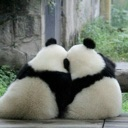 emoji_80 Discord Emoji - NV