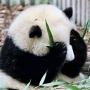 emoji_81 custom emote | NV